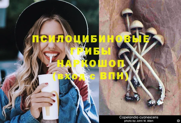 гашик Кинешма