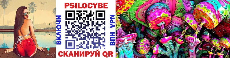 Купить закладки  Алупка  Псилоцибиновые грибы прущие грибы 